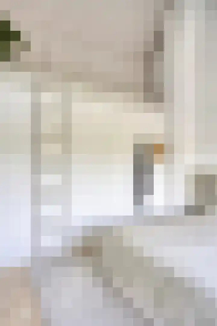 van Lanschotstraat 19 Achtmaal thumbnail 30