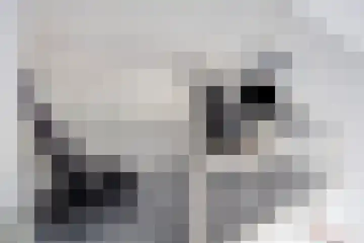 van Lanschotstraat 19 Achtmaal thumbnail 37