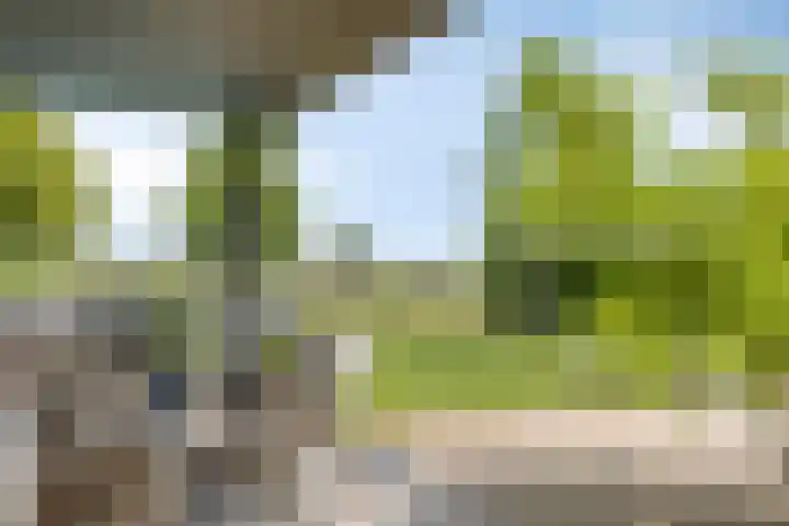 van Lanschotstraat 19 Achtmaal thumbnail 5