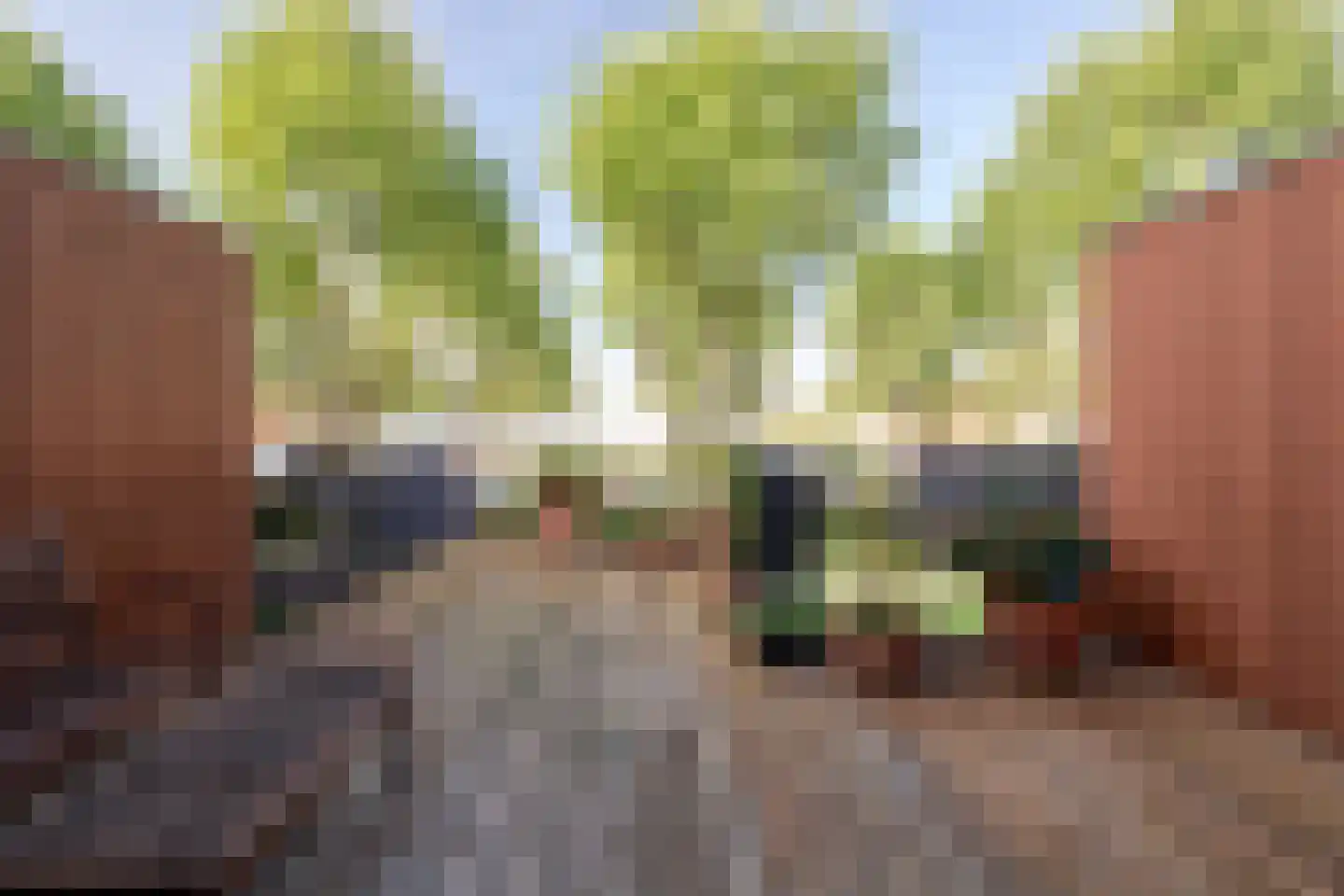 Van Lawick van Pabstlaan 172 De Meern thumbnail 24