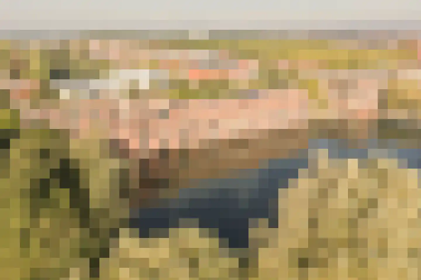 Van Lawick van Pabstlaan 172 De Meern thumbnail 44