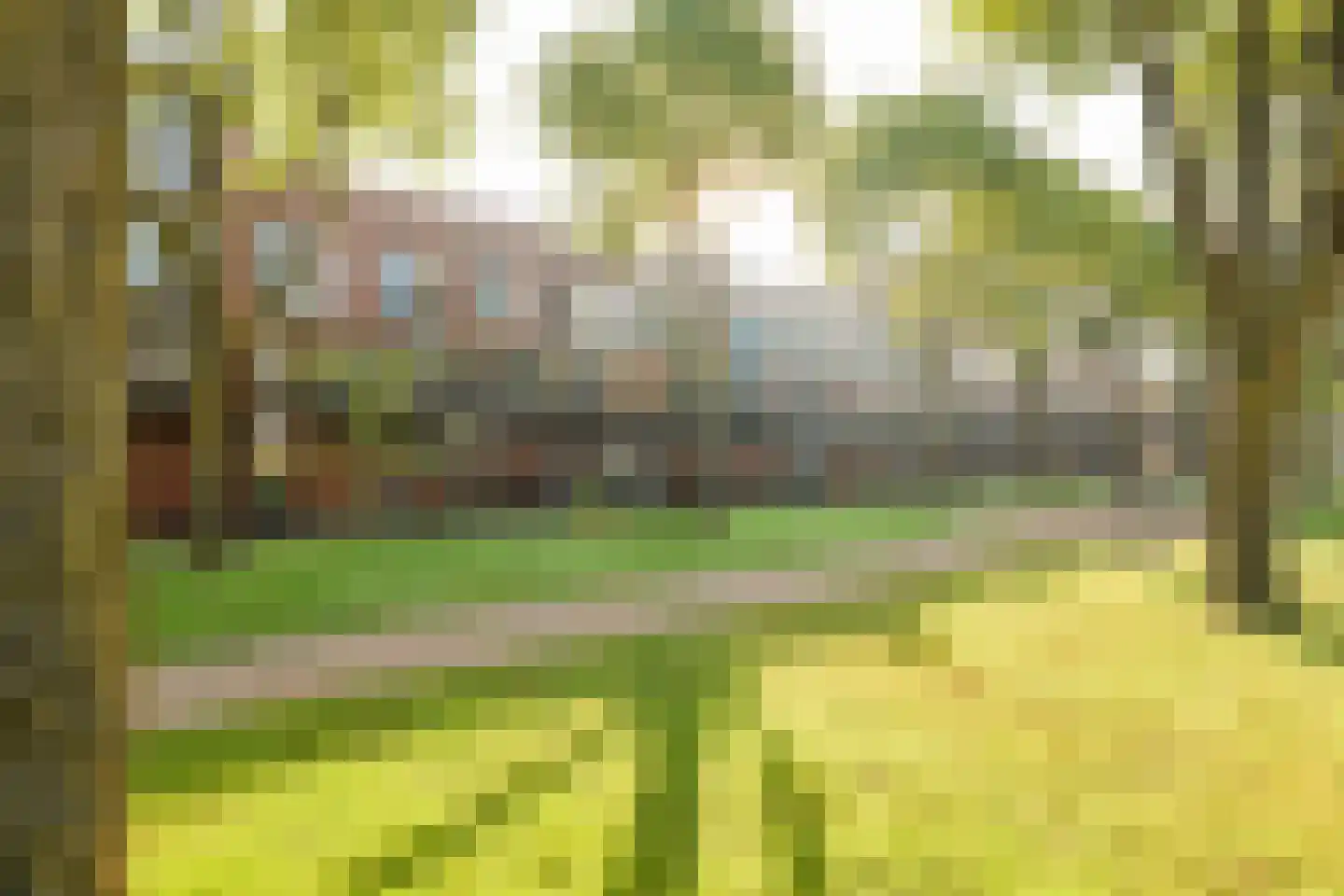 Van Lawick van Pabstlaan 172 De Meern thumbnail 49
