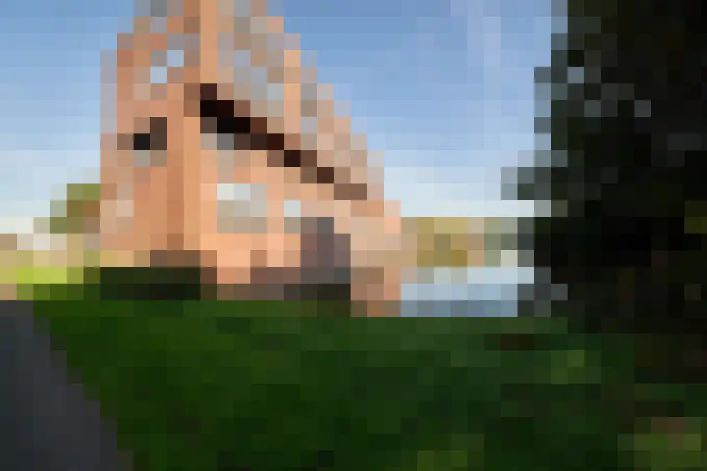 Van Lawick van Pabstlaan 172 De Meern thumbnail 51