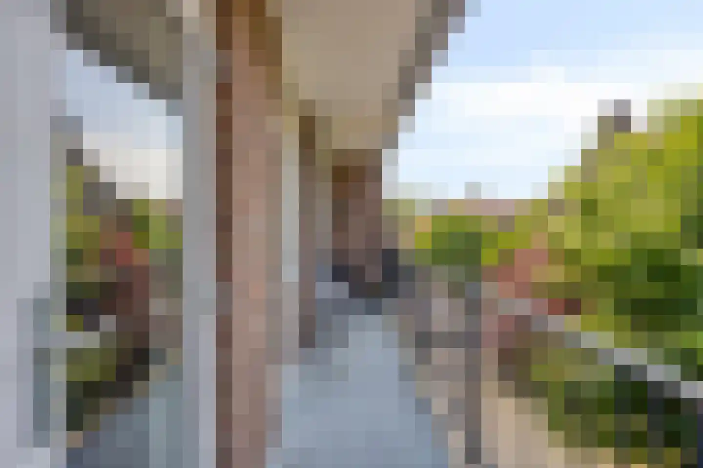 Van Lawick van Pabststraat 103 2 Arnhem thumbnail 22