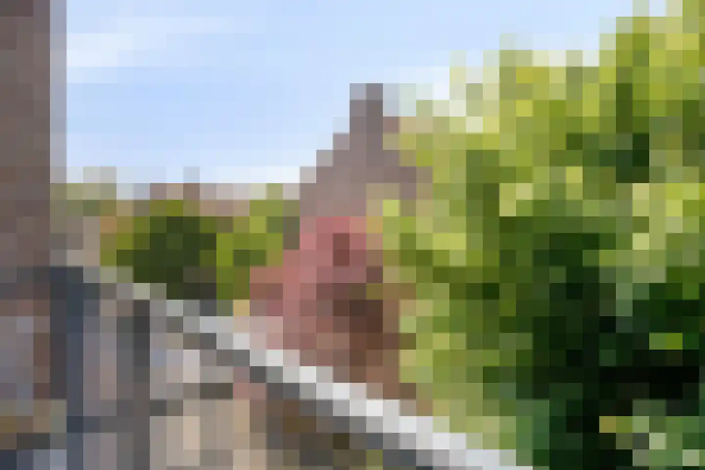 Van Lawick van Pabststraat 103 2 Arnhem thumbnail 23