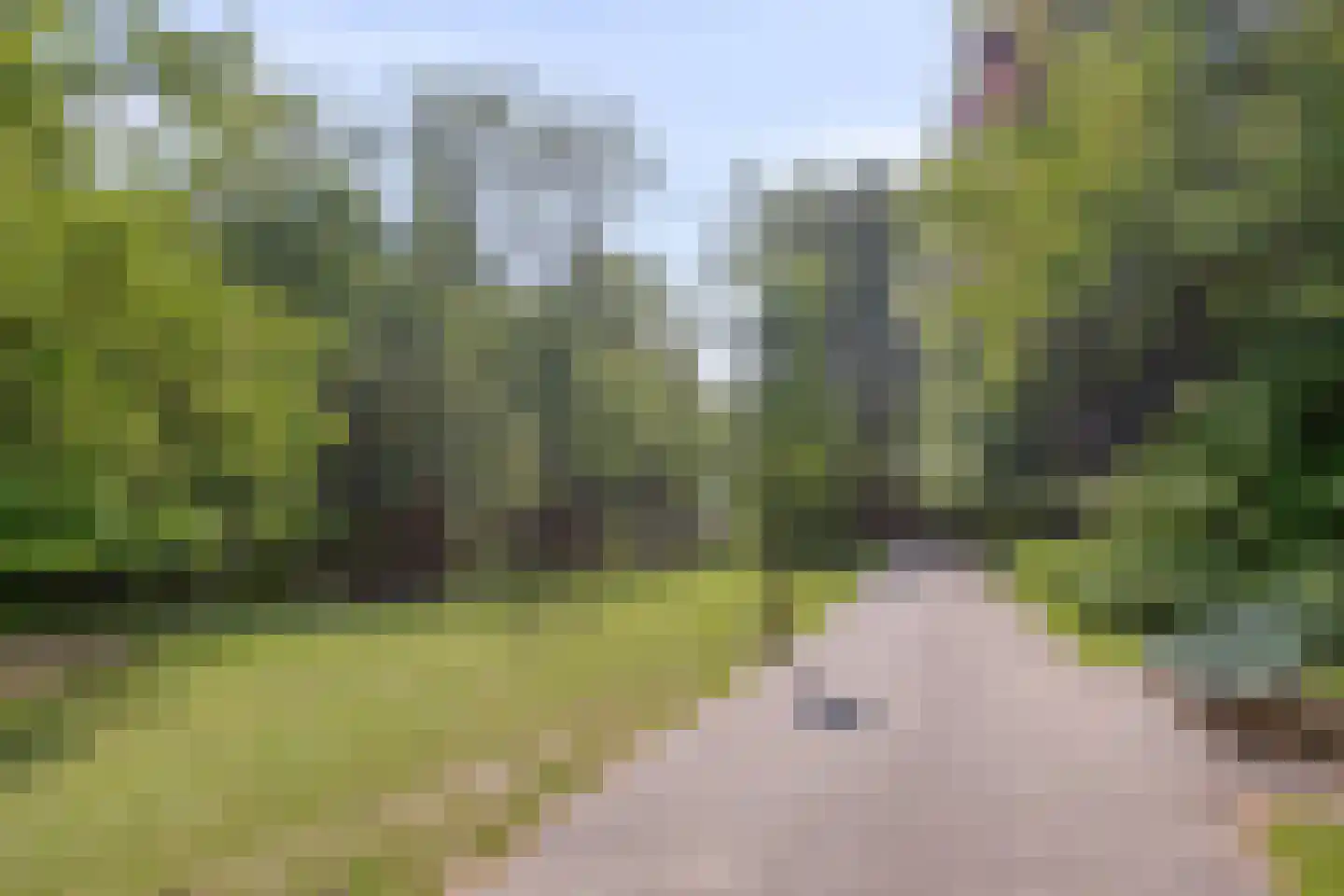 Van Lawick van Pabststraat 103 2 Arnhem thumbnail 28