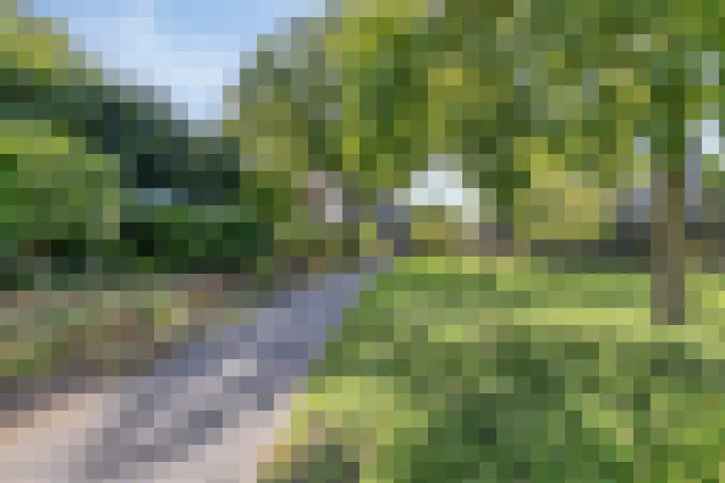 Van Lawick van Pabststraat 104 Arnhem thumbnail 30