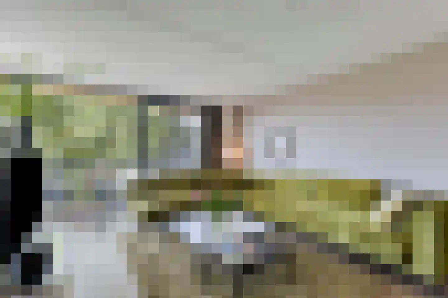 Van Lawick van Pabststraat 104 Arnhem thumbnail 6