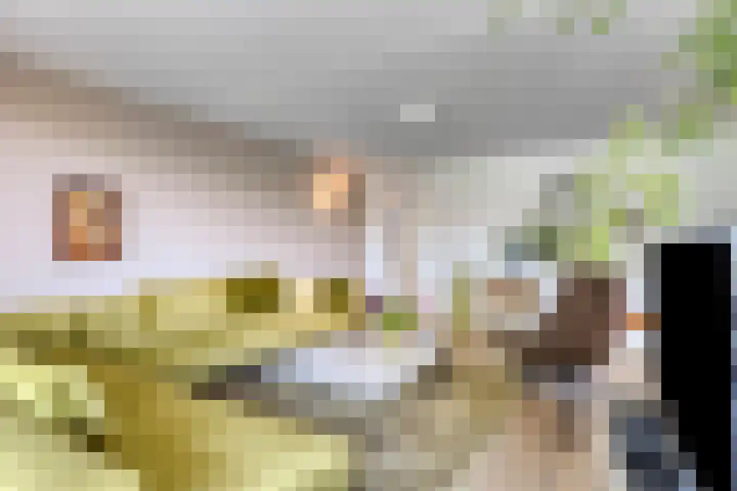 Van Lawick van Pabststraat 104 Arnhem thumbnail 7