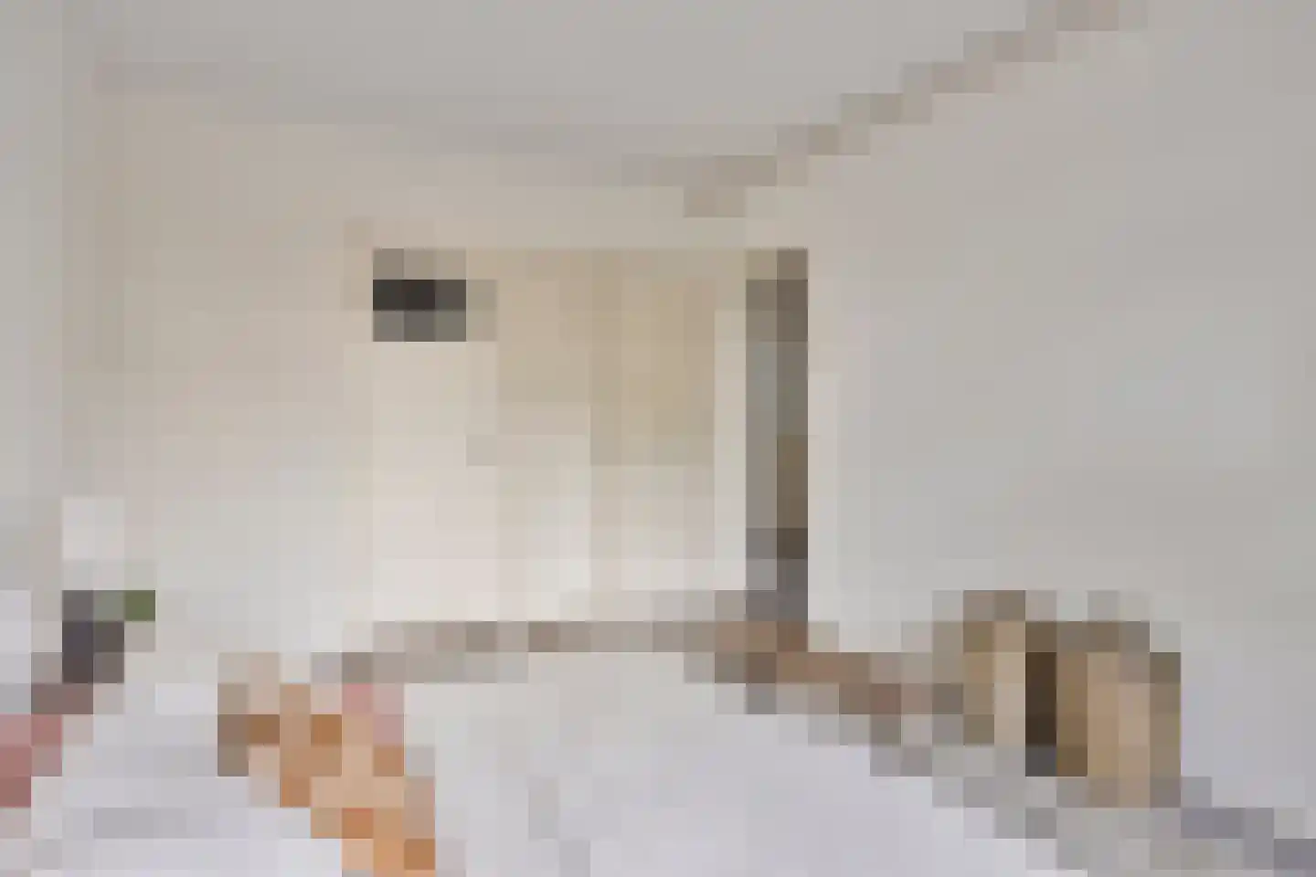 Van Lawick van Pabststraat 107 1 Arnhem thumbnail 11