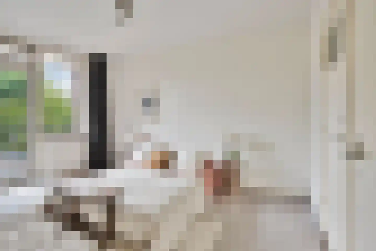 Van Lawick van Pabststraat 107 1 Arnhem thumbnail 12