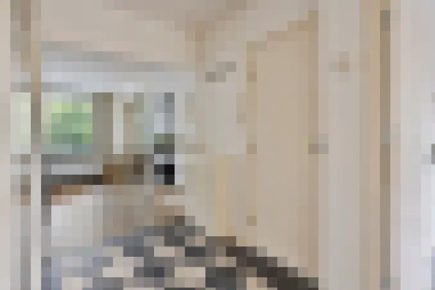 Van Lawick van Pabststraat 107 1 Arnhem thumbnail 5