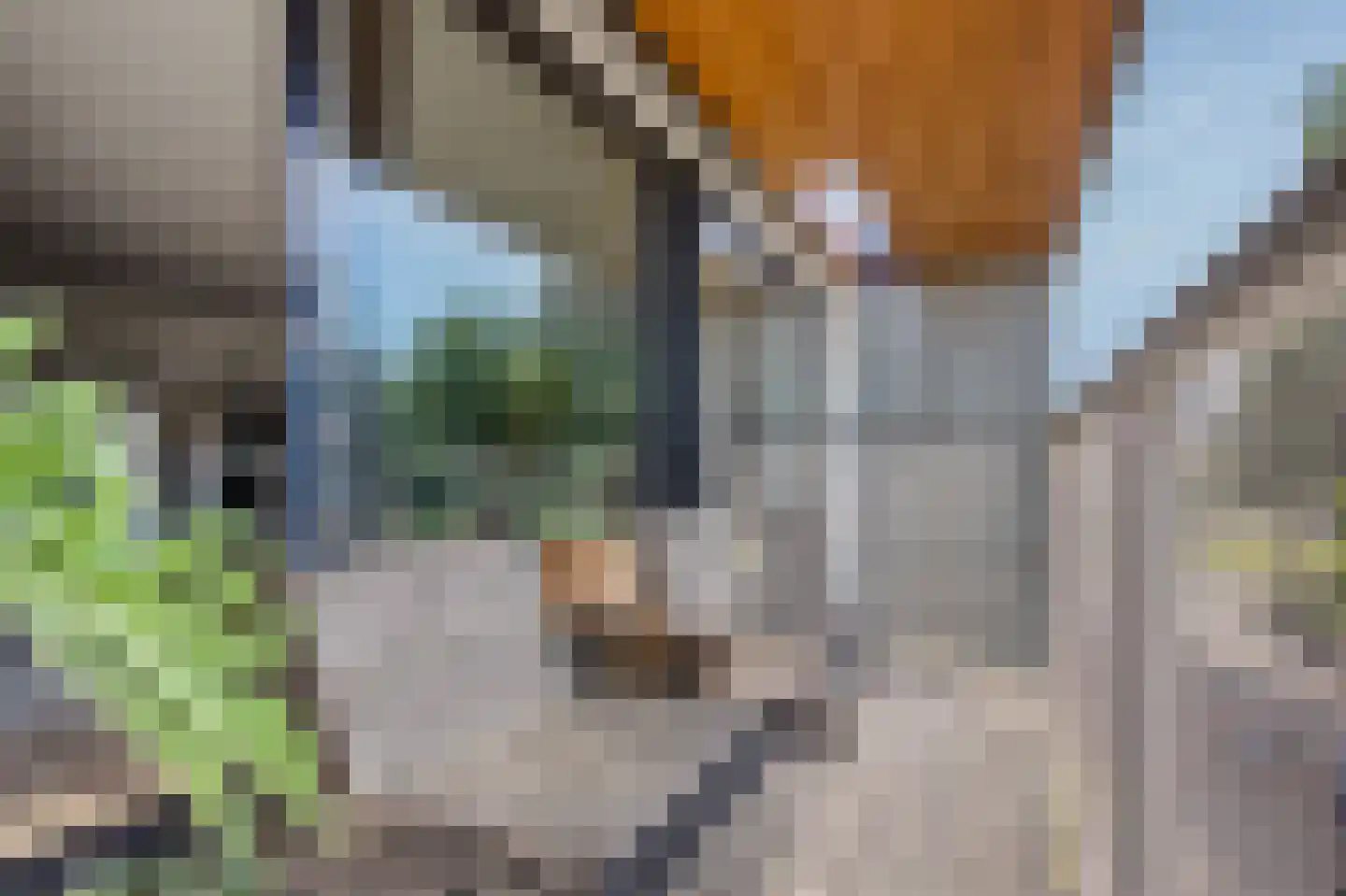 Van Lawick van Pabststraat 112 Arnhem thumbnail 23