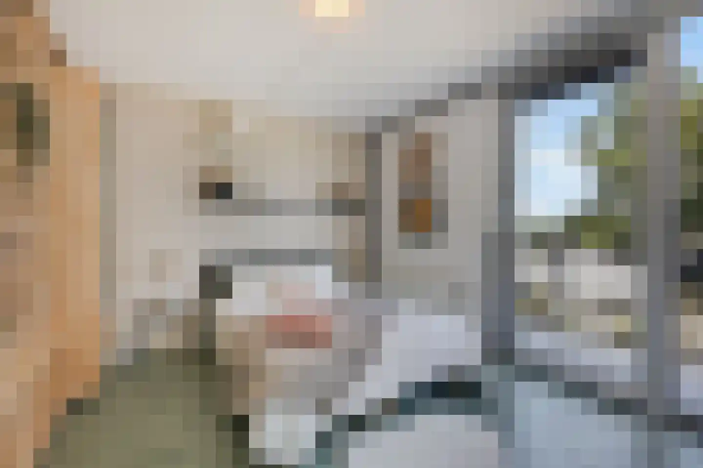 Van Lawick van Pabststraat 112 Arnhem thumbnail 29
