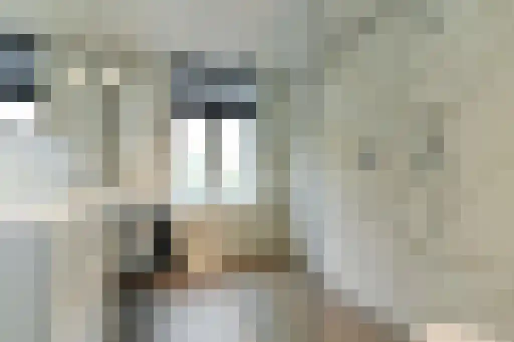 Van Lawick van Pabststraat 127 2 Arnhem thumbnail 30