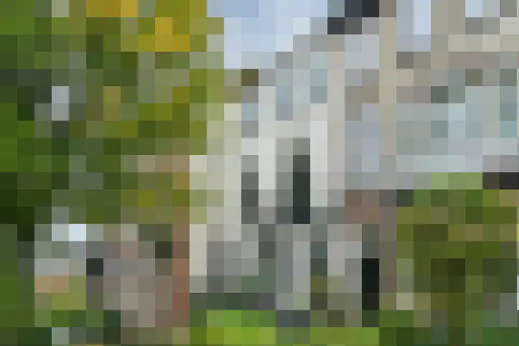 Van Lawick van Pabststraat 127 2 Arnhem thumbnail 38