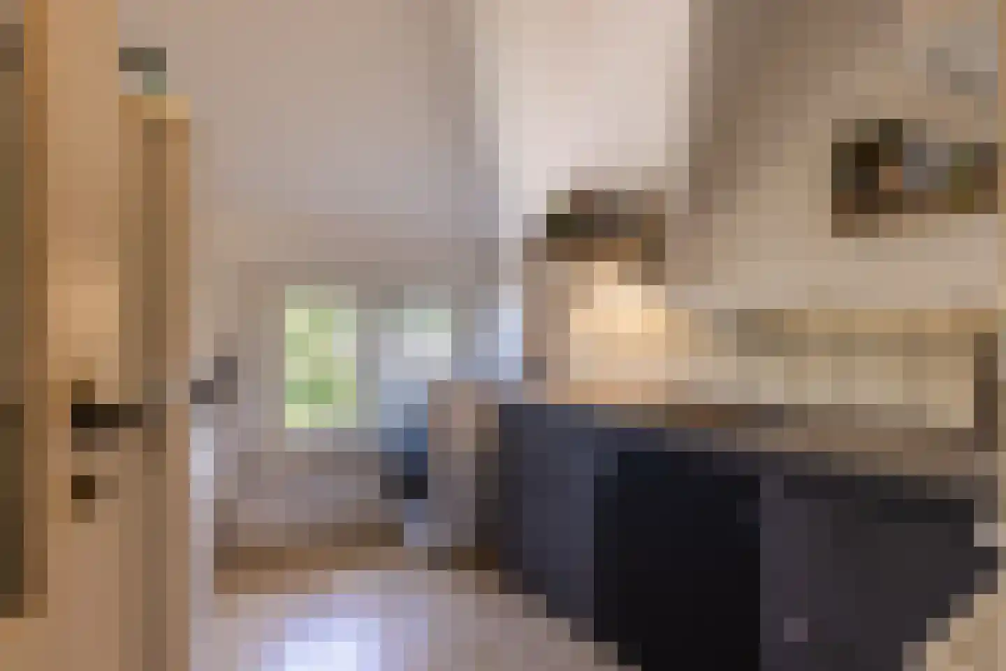 Van Lawick van Pabststraat 13 Arnhem thumbnail 34
