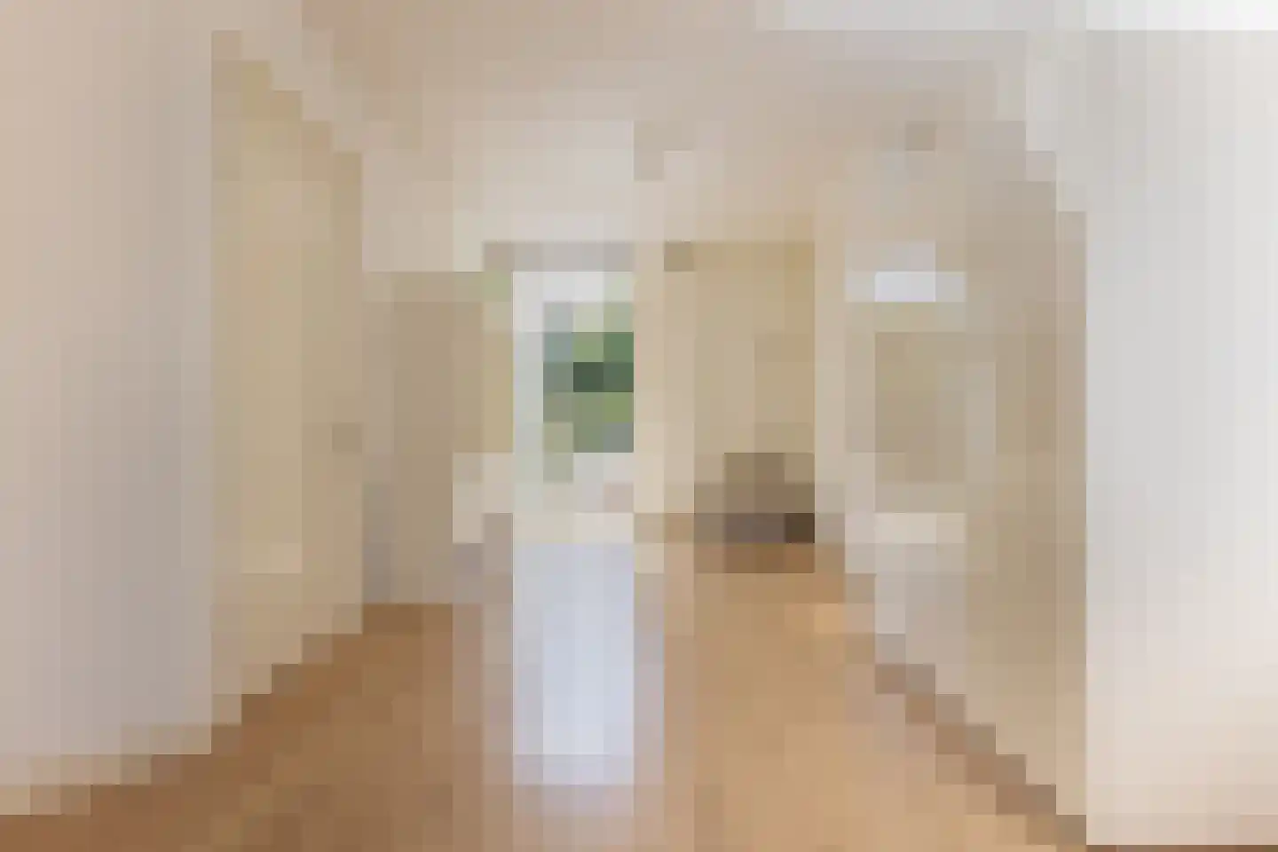 Van Lawick van Pabststraat 13 Arnhem thumbnail 38