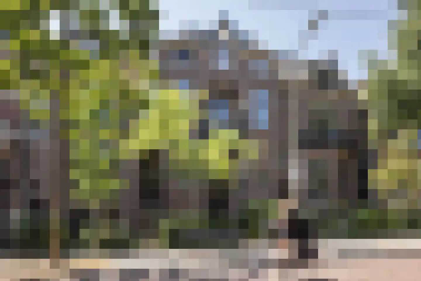 Van Lawick van Pabststraat 13 Arnhem thumbnail 43