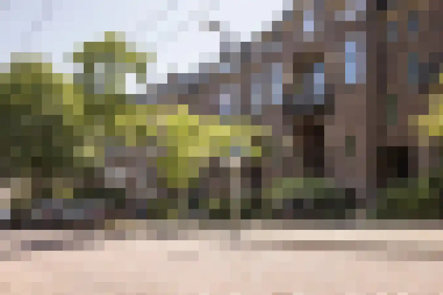 Van Lawick van Pabststraat 13 Arnhem thumbnail 45
