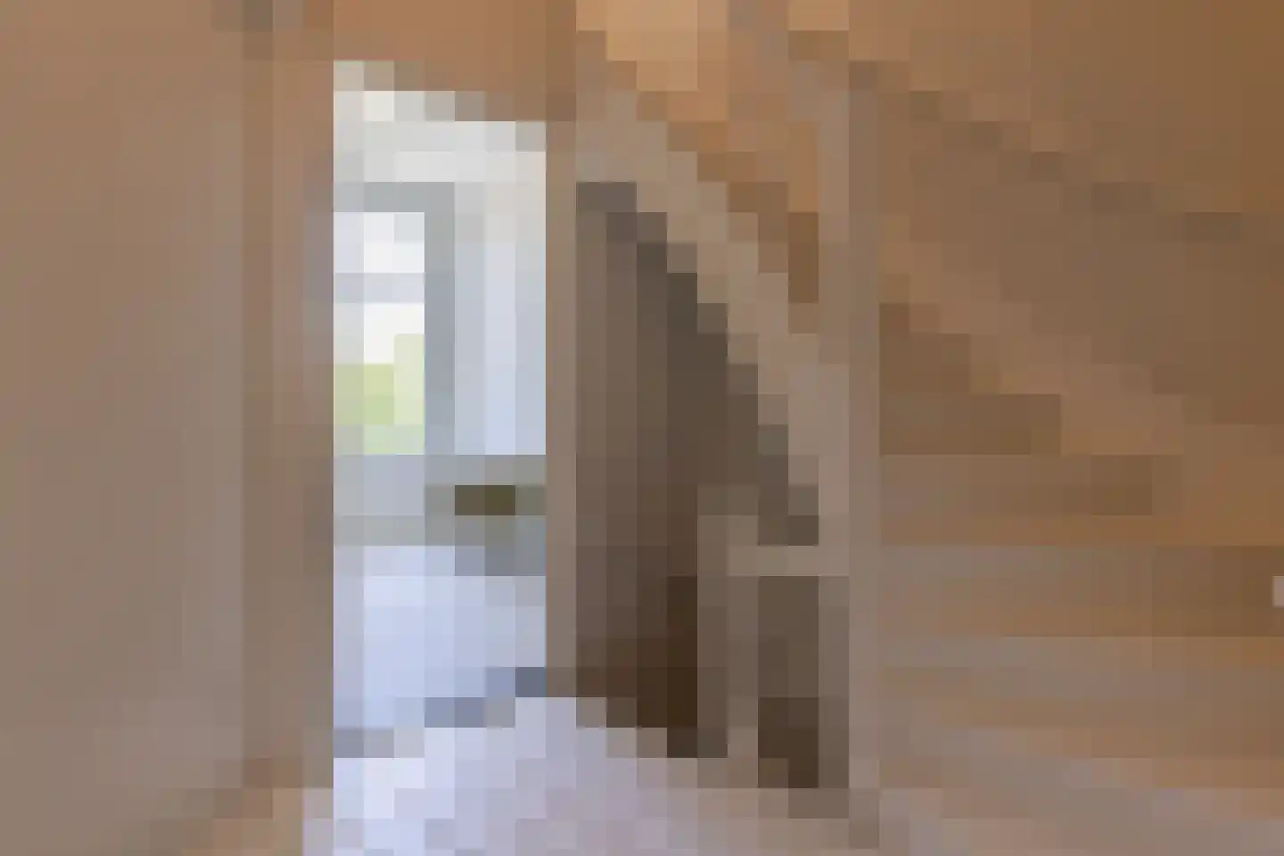 Van Lawick van Pabststraat 13 Arnhem thumbnail 6