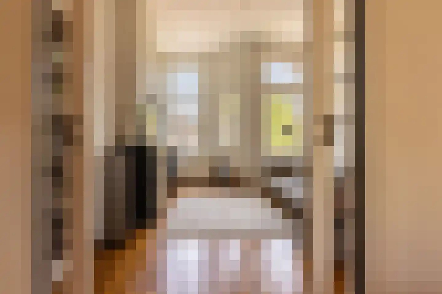 Van Lawick van Pabststraat 13 Arnhem thumbnail 9