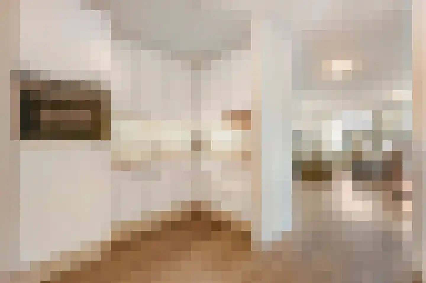Van Lawick van Pabststraat 136 Arnhem thumbnail 25