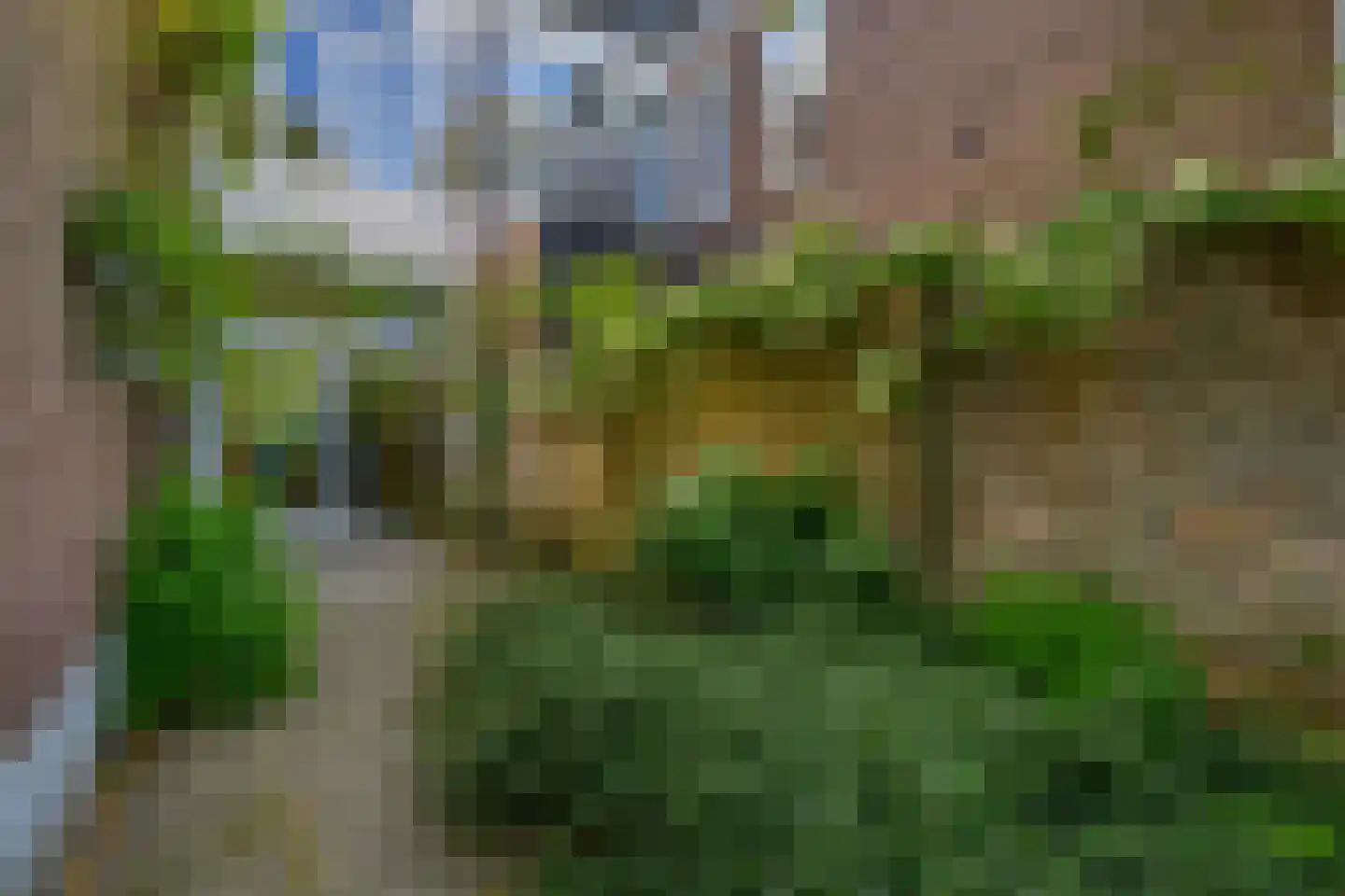 Van Lawick van Pabststraat 139 Arnhem thumbnail 31