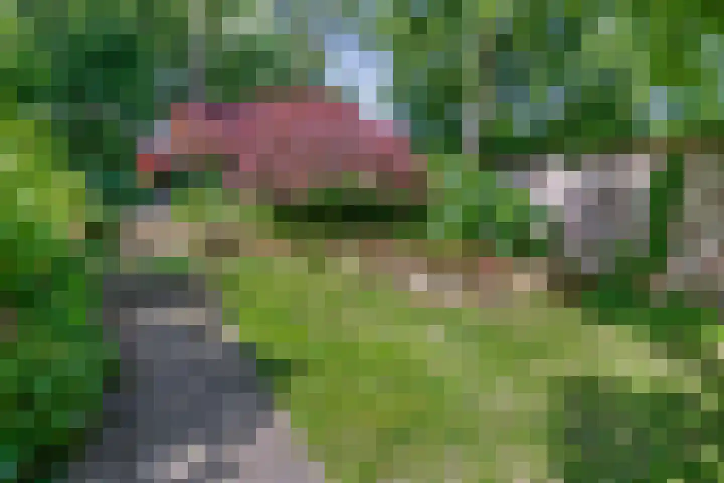 Van Lawick van Pabststraat 139 Arnhem thumbnail 35