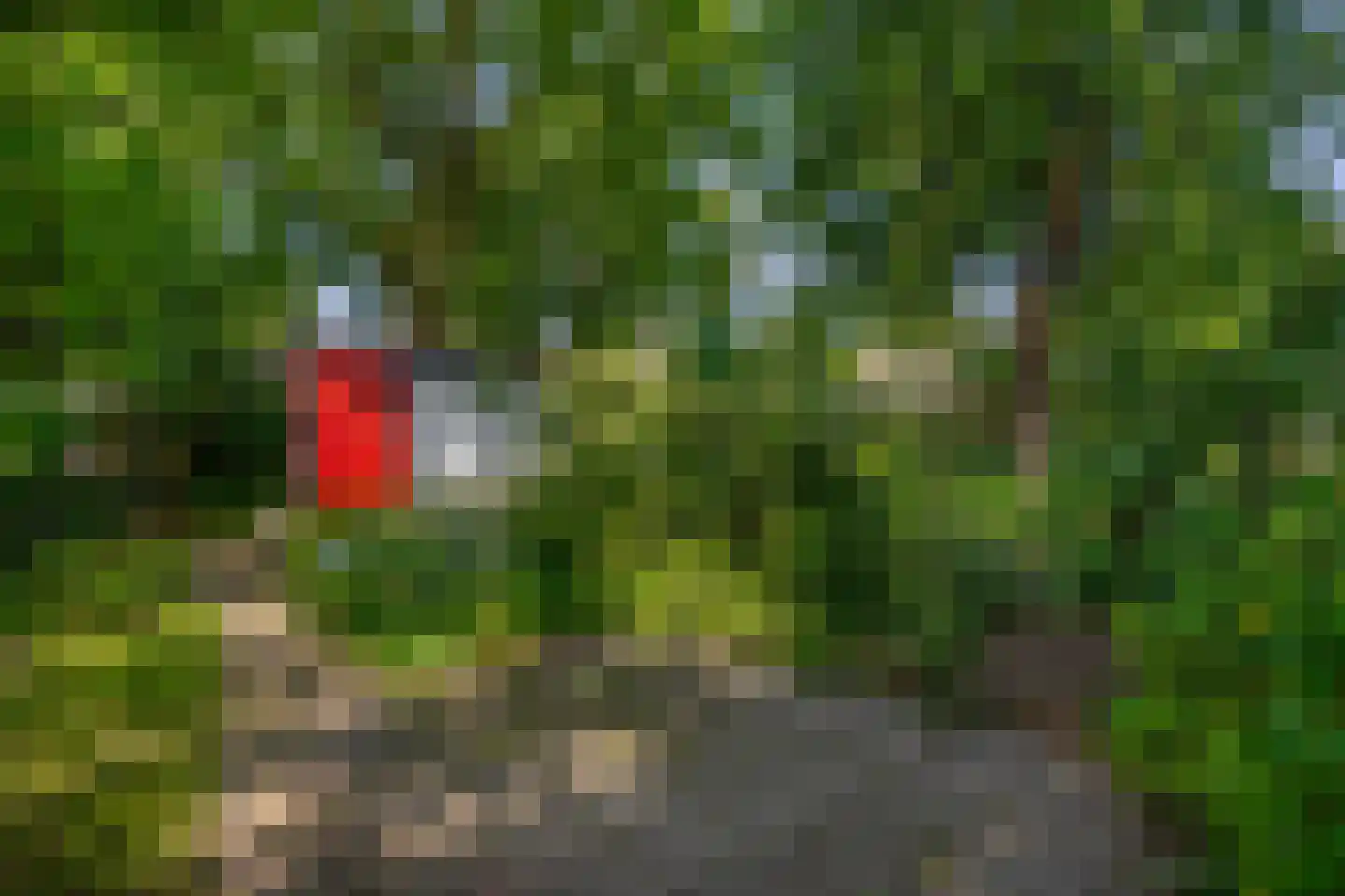 Van Lawick van Pabststraat 139 Arnhem thumbnail 41