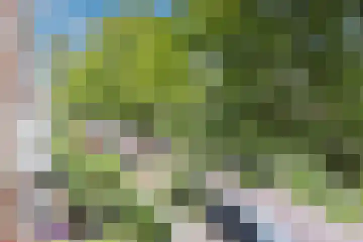 Van Lawick van Pabststraat 141 Arnhem thumbnail 13
