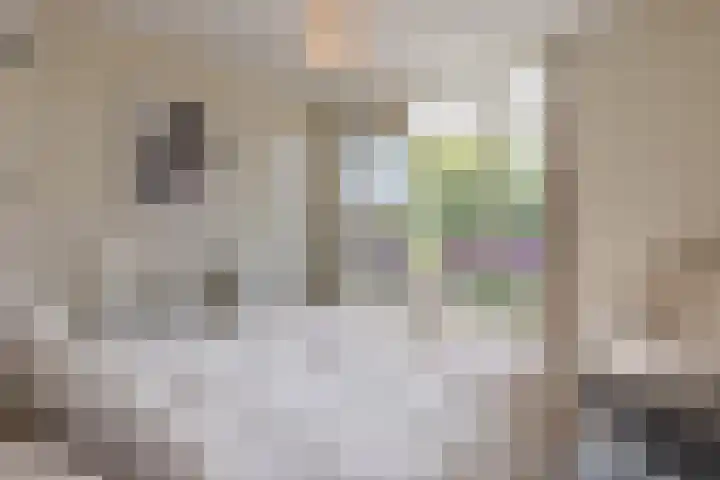 Van Lawick van Pabststraat 141 Arnhem thumbnail 33