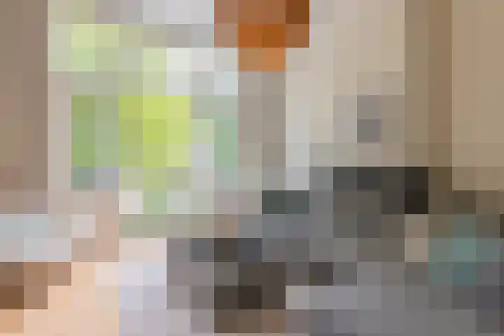 Van Lawick van Pabststraat 141 Arnhem thumbnail 8