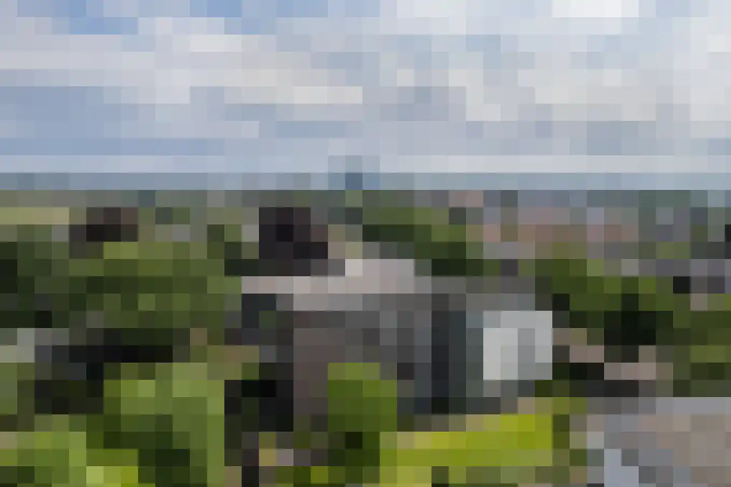 Van Lawick van Pabststraat 150 Arnhem thumbnail 4