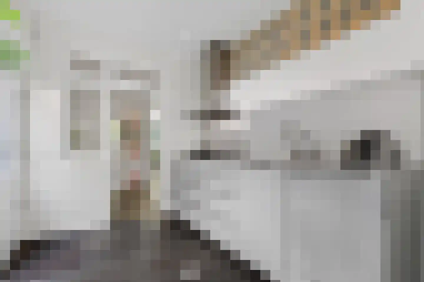 Van Lawick van Pabststraat 177 Arnhem thumbnail 12