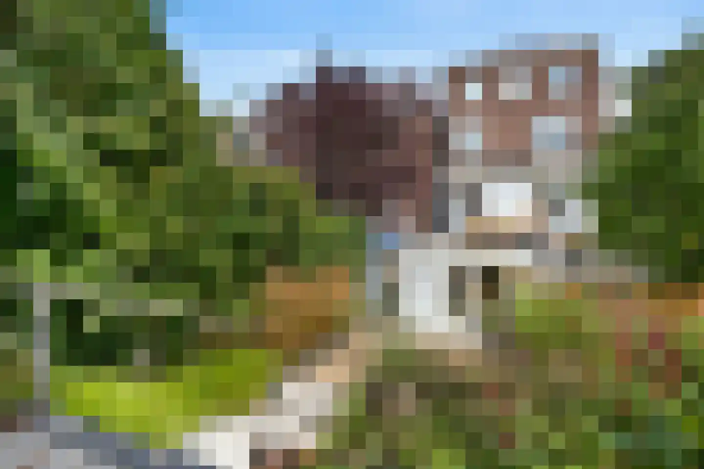 Van Lawick van Pabststraat 177 Arnhem thumbnail 20