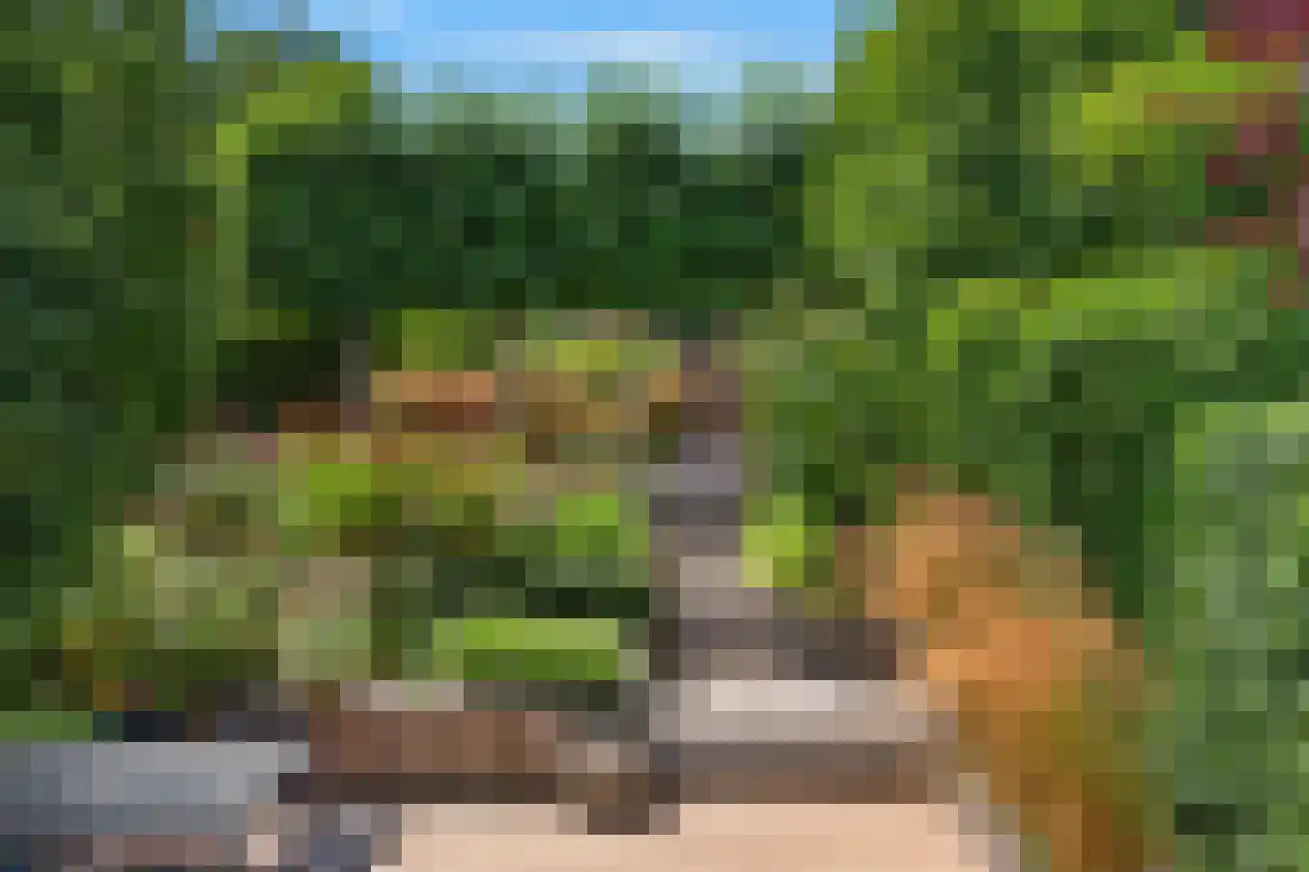 Van Lawick van Pabststraat 177 Arnhem foto 3
