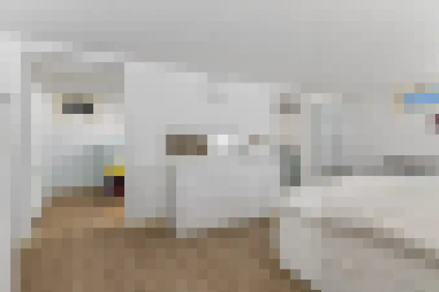 Van Lawick van Pabststraat 177 Arnhem thumbnail 35