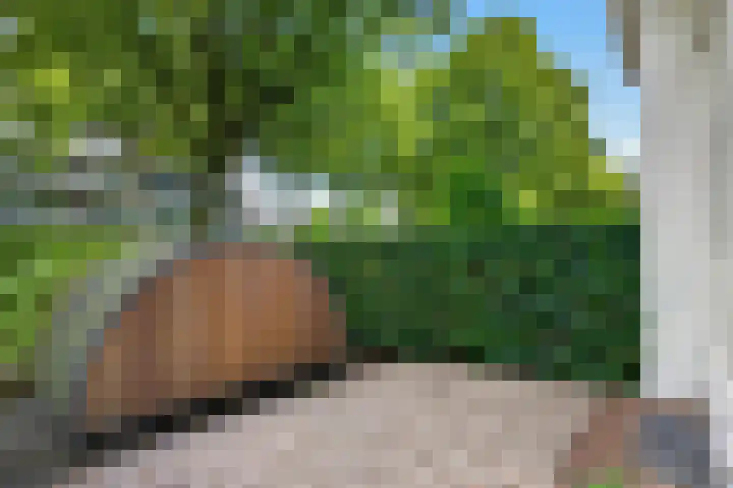 Van Lawick van Pabststraat 177 Arnhem thumbnail 5