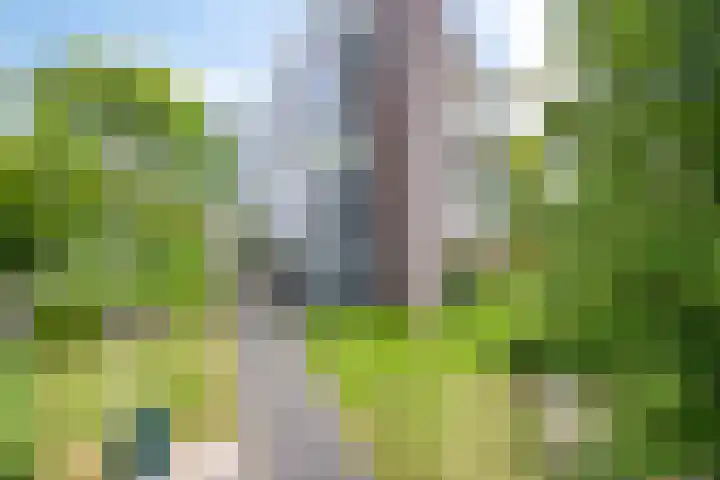 Van Lawick van Pabststraat 218 Arnhem thumbnail 4