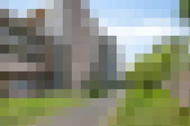 Van Lawick van Pabststraat 218 Arnhem thumbnail 5