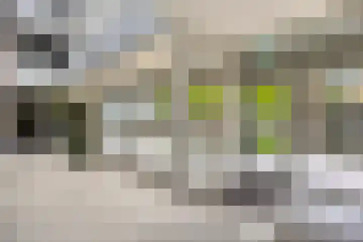Van Lawick van Pabststraat 218 Arnhem thumbnail 7
