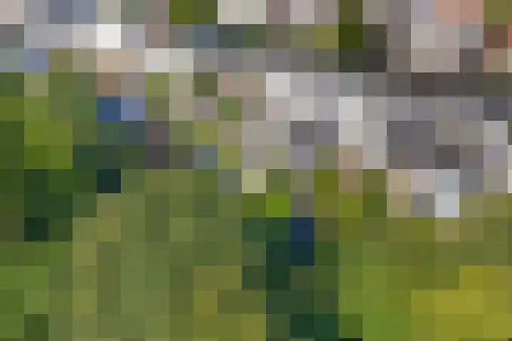 Van Lawick van Pabststraat 59 Arnhem thumbnail 5