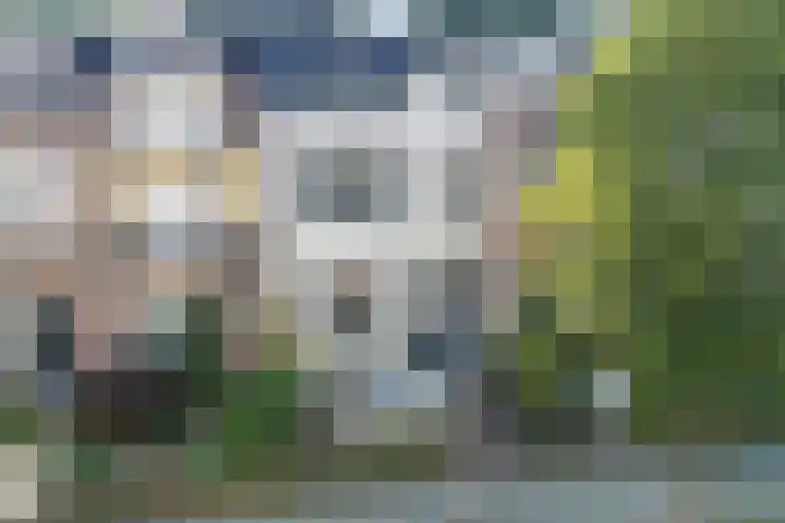 Van Lawick van Pabststraat 59 Arnhem thumbnail 6