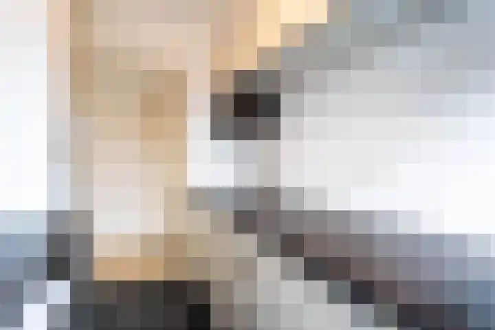 Van Lawickhof 18 Tilburg thumbnail 13