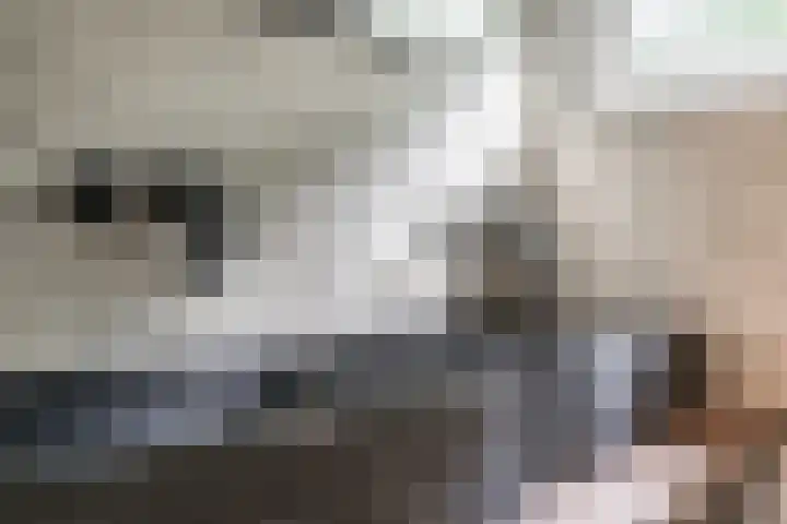 Van Lawickhof 23 Tilburg thumbnail 19