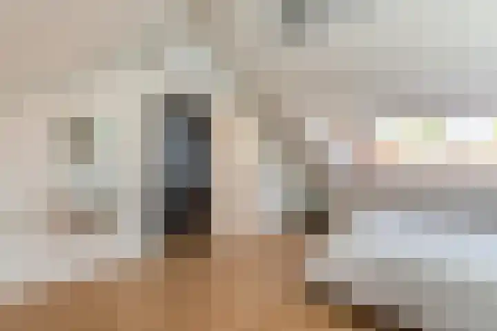 Van Lawickhof 23 Tilburg thumbnail 21