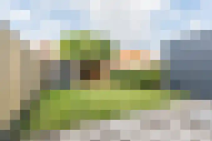 Van Lawickhof 23 Tilburg thumbnail 25
