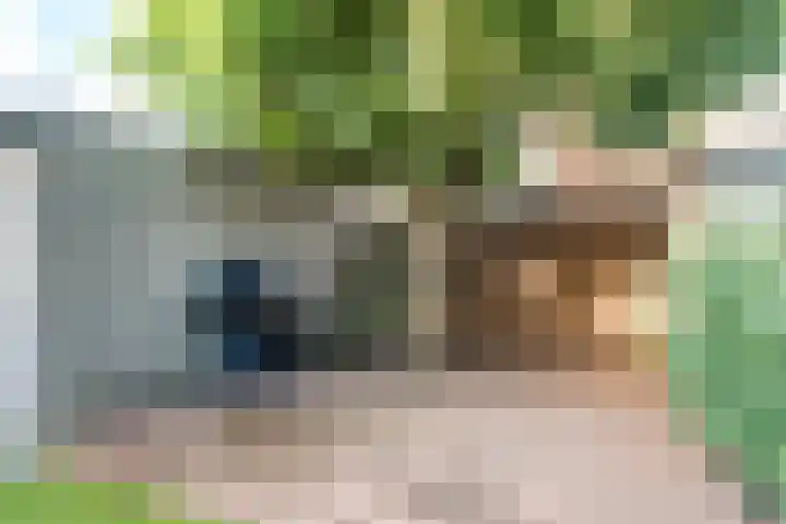 Van Lawickhof 23 Tilburg thumbnail 26