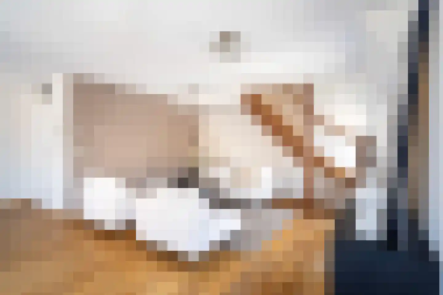 Van Leeuwenhoeckstraat 18 Utrecht thumbnail 12